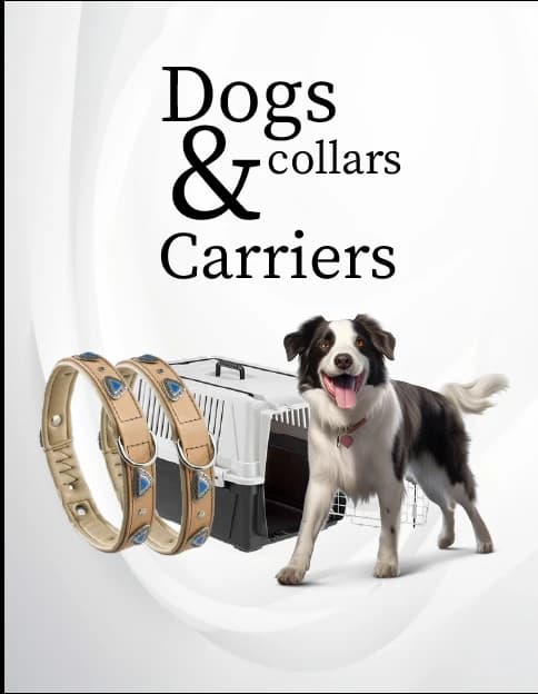 Dogs Supplies & Accessories2