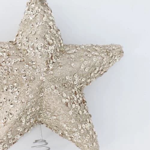 Champagne Treetop Star