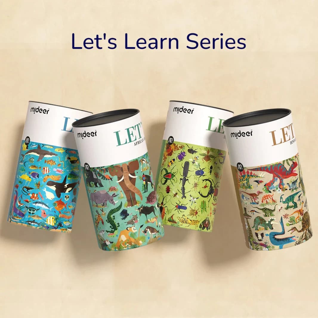 Mideer - Let's Learn - Insect World