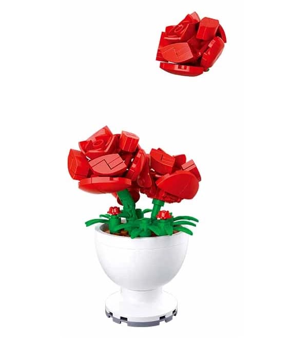 Sluban Pleyerid Potted Plants- Rose