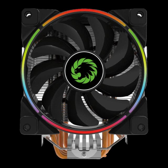 GAMMA 500 RAINBOW